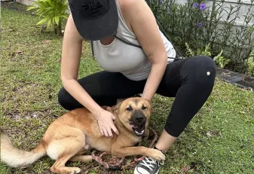 dog-walker-trainer